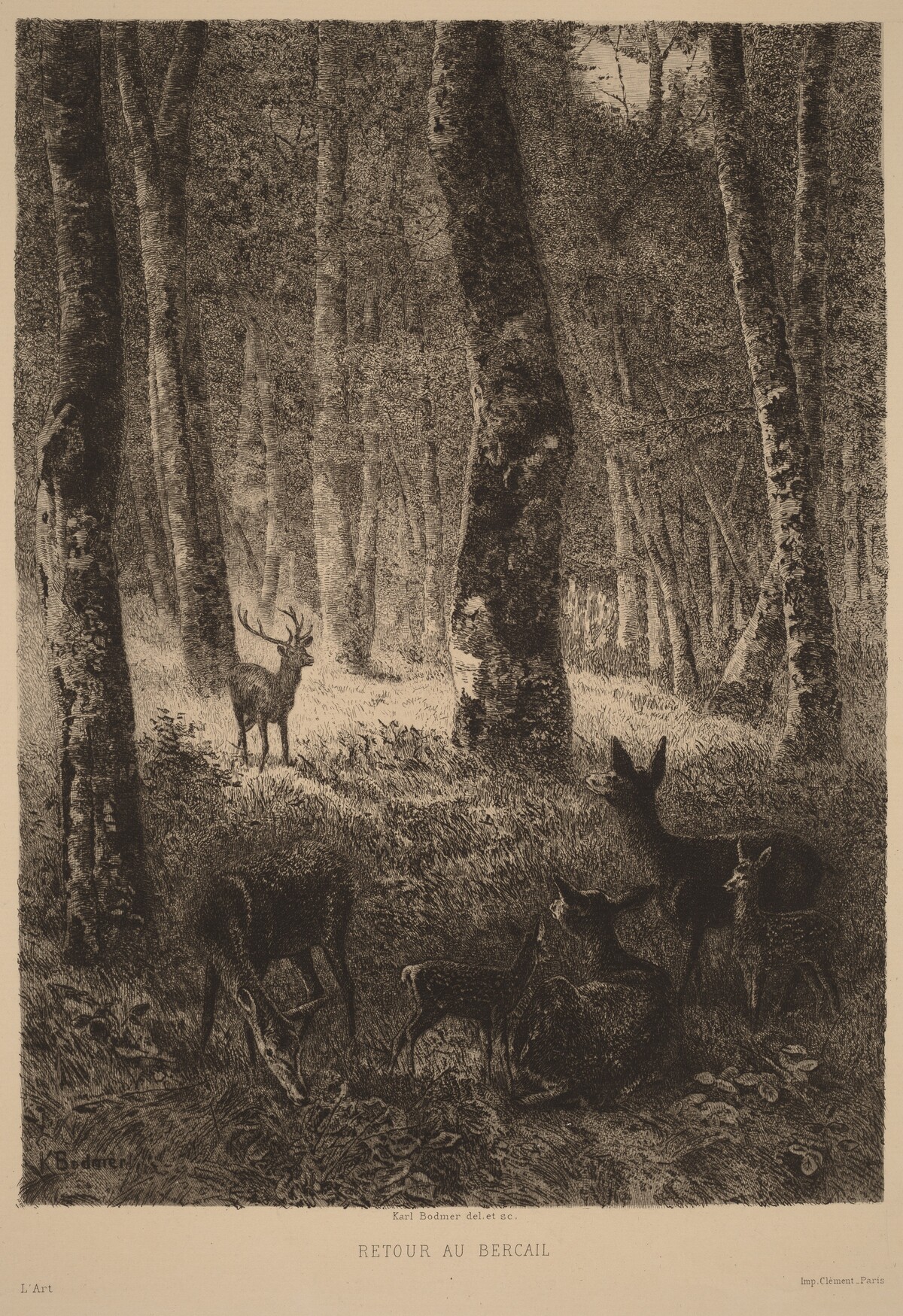 Retour au Bercail by Karl Bodmer