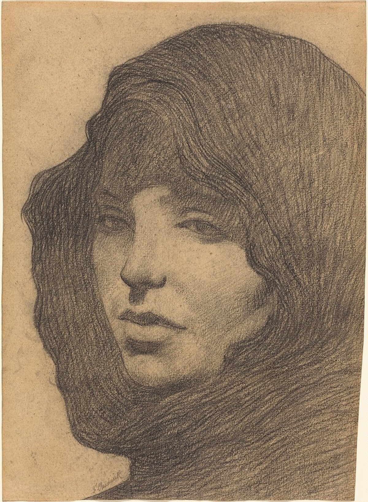 Destiny by Francis Brooks Chadwick