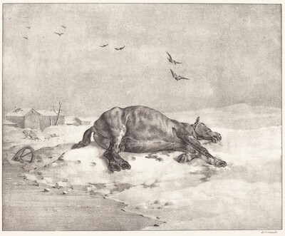 Dead Horse