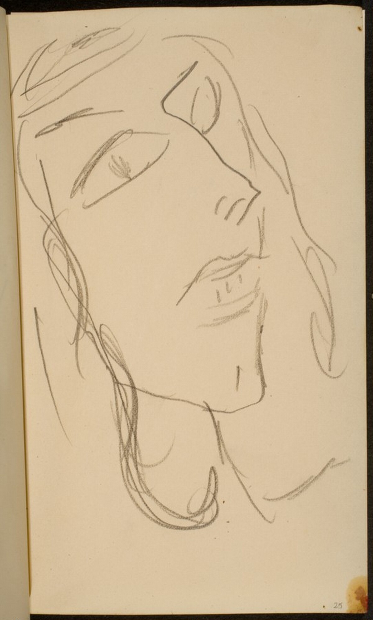 weibliches Gesicht (Woman's Face) [p. 25] by Max Beckmann