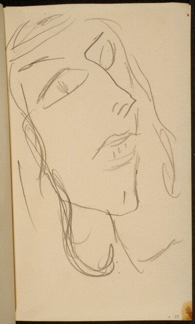 weibliches Gesicht (Woman's Face) [p. 25]