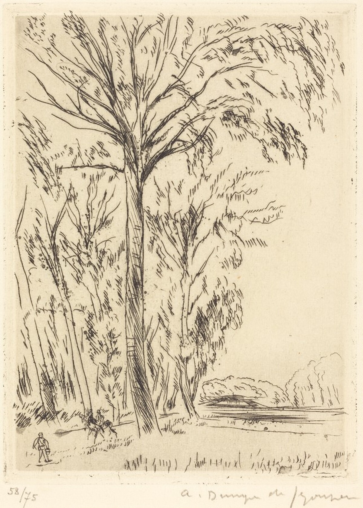 Poplars, Versailles (Versailles, les grands peupliers) by André Dunoyer de Segonzac