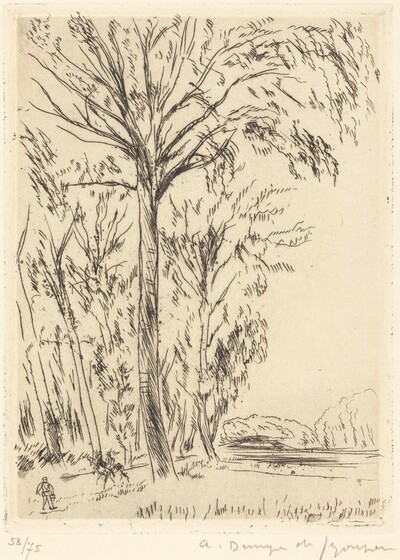 Poplars, Versailles (Versailles, les grands peupliers)