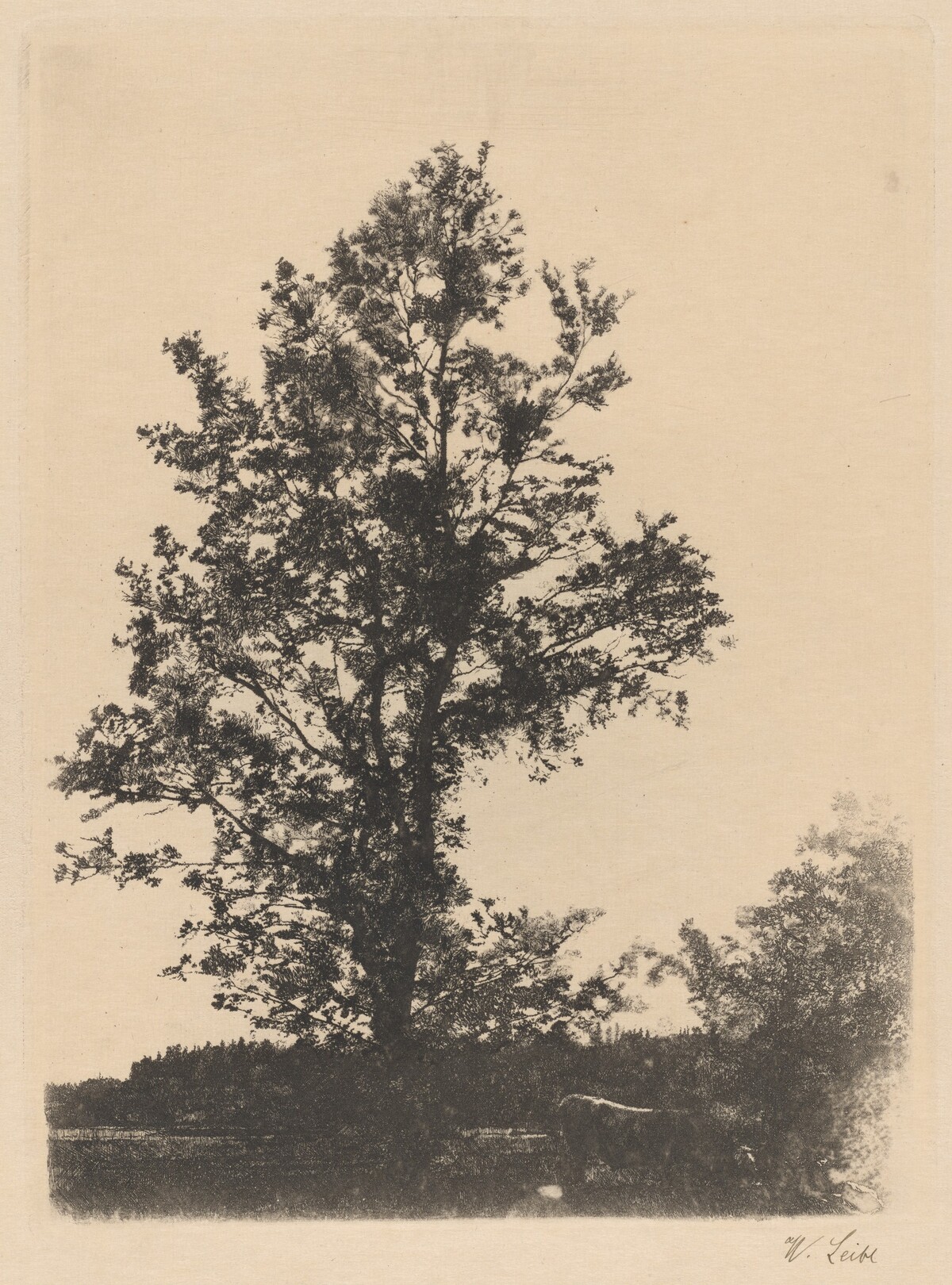 The Large Tree by Wilhelm Leibl