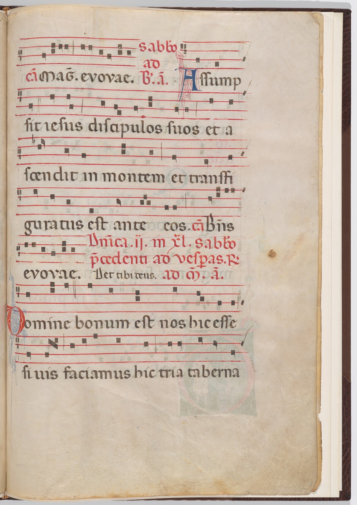 Leaf 7 from an antiphonal fragment by Italian 13th Century