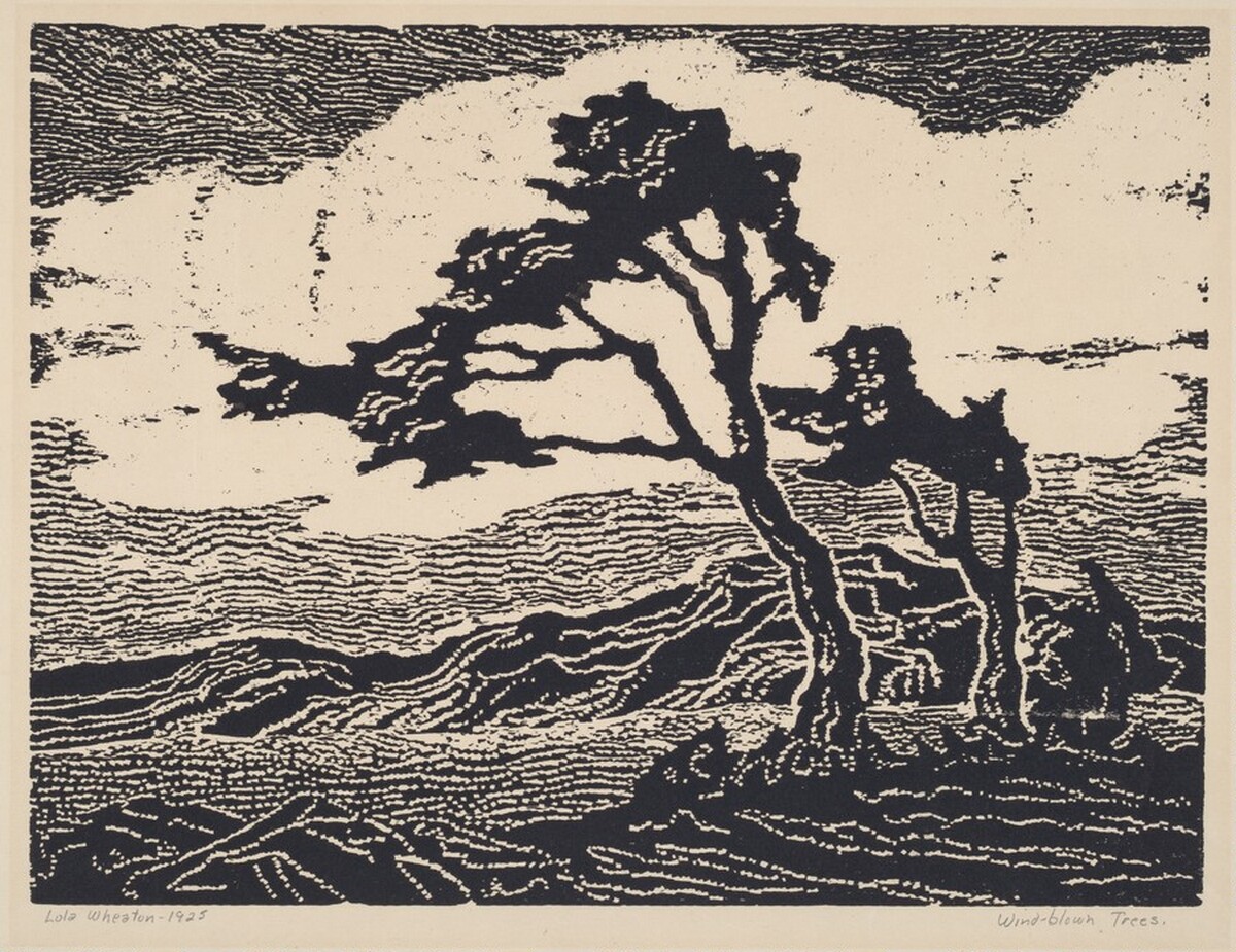 Wind-Blown Trees by Lola Wheaton