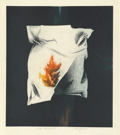 White Still Life