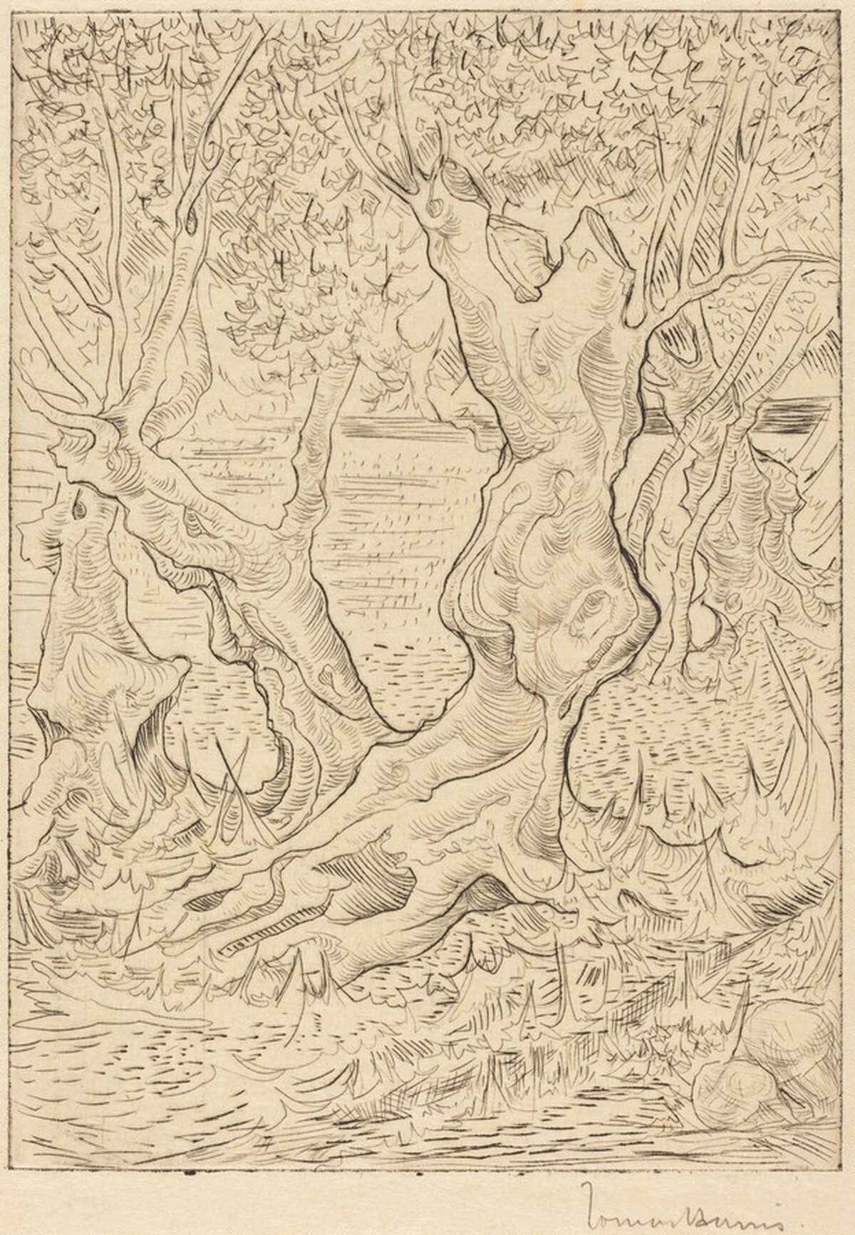 Group of Trees by Tomás Harris