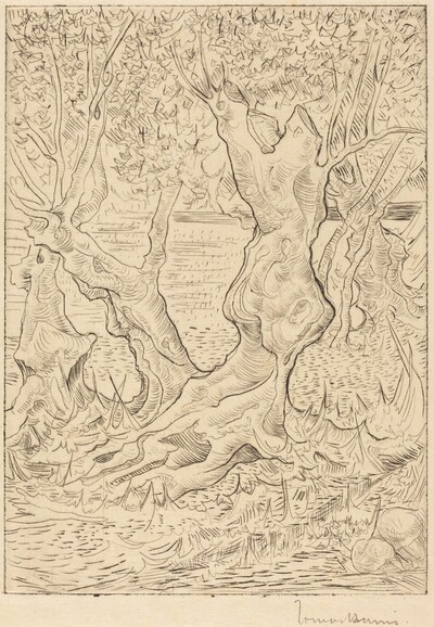 Group of Trees