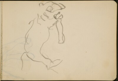 begonnene Tierstudie (Animal Study) [p. 23]