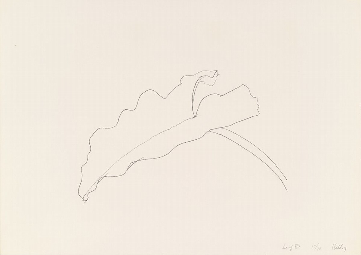Leaf VIII by Ellsworth Kelly
