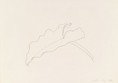 Leaf VIII