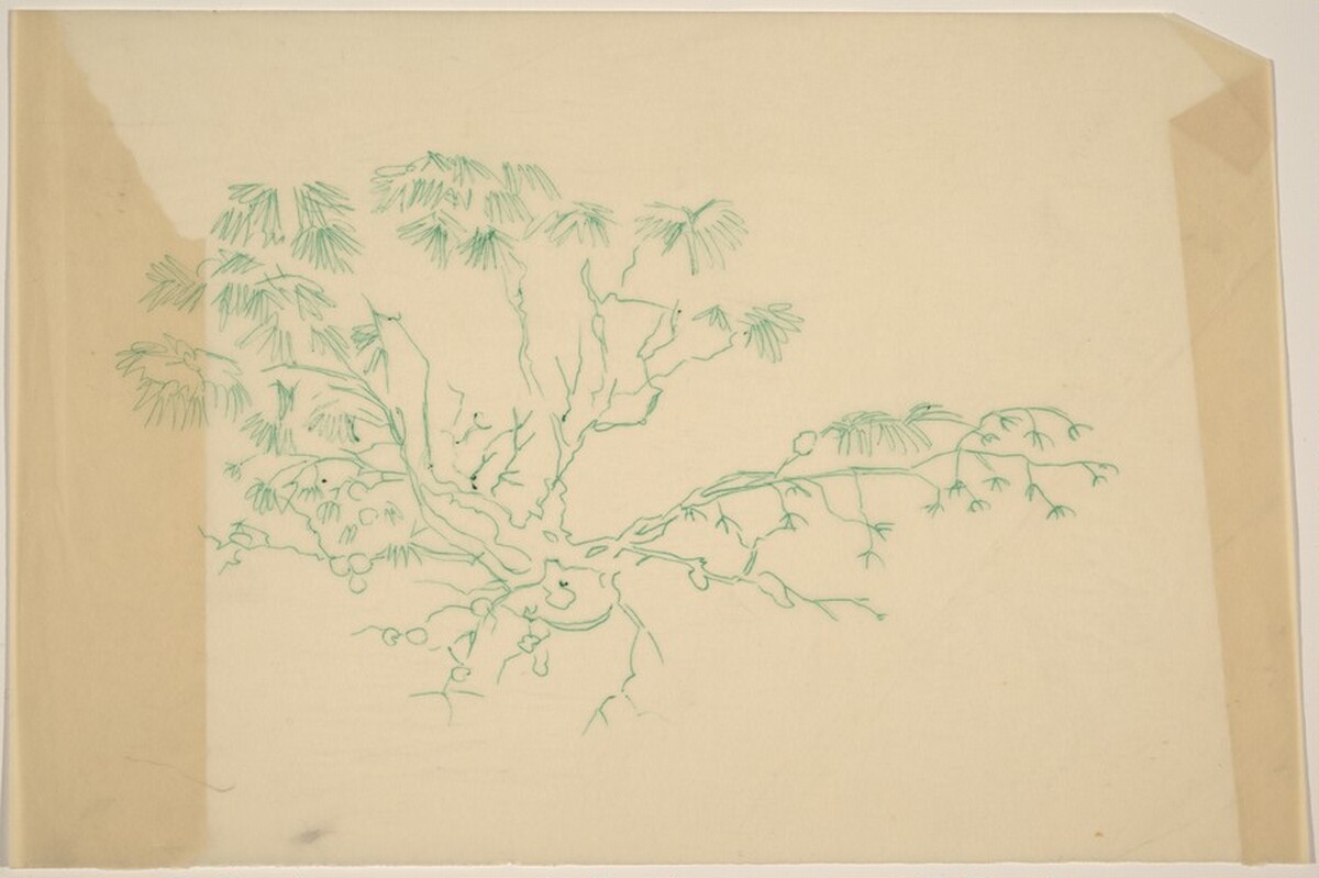 Scrub Pine by Louis Lozowick