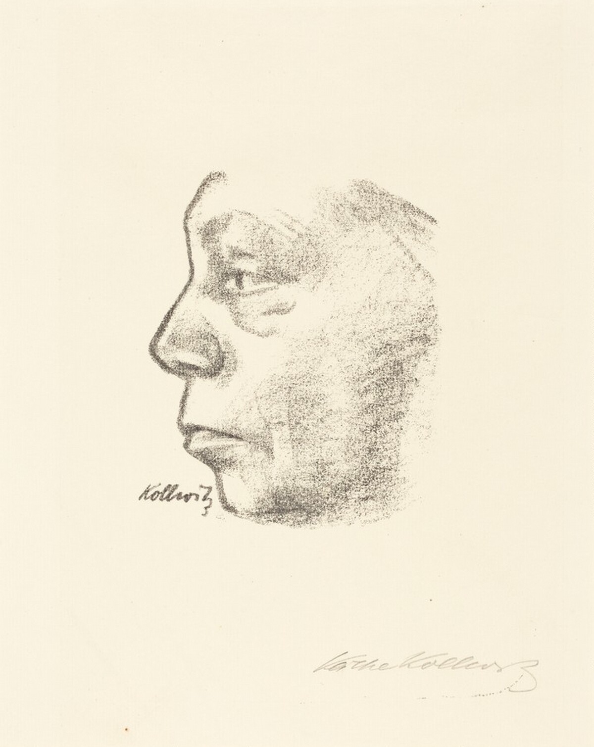Self-Portrait in Profile (Selbstbildnis im Profil) by Käthe Kollwitz