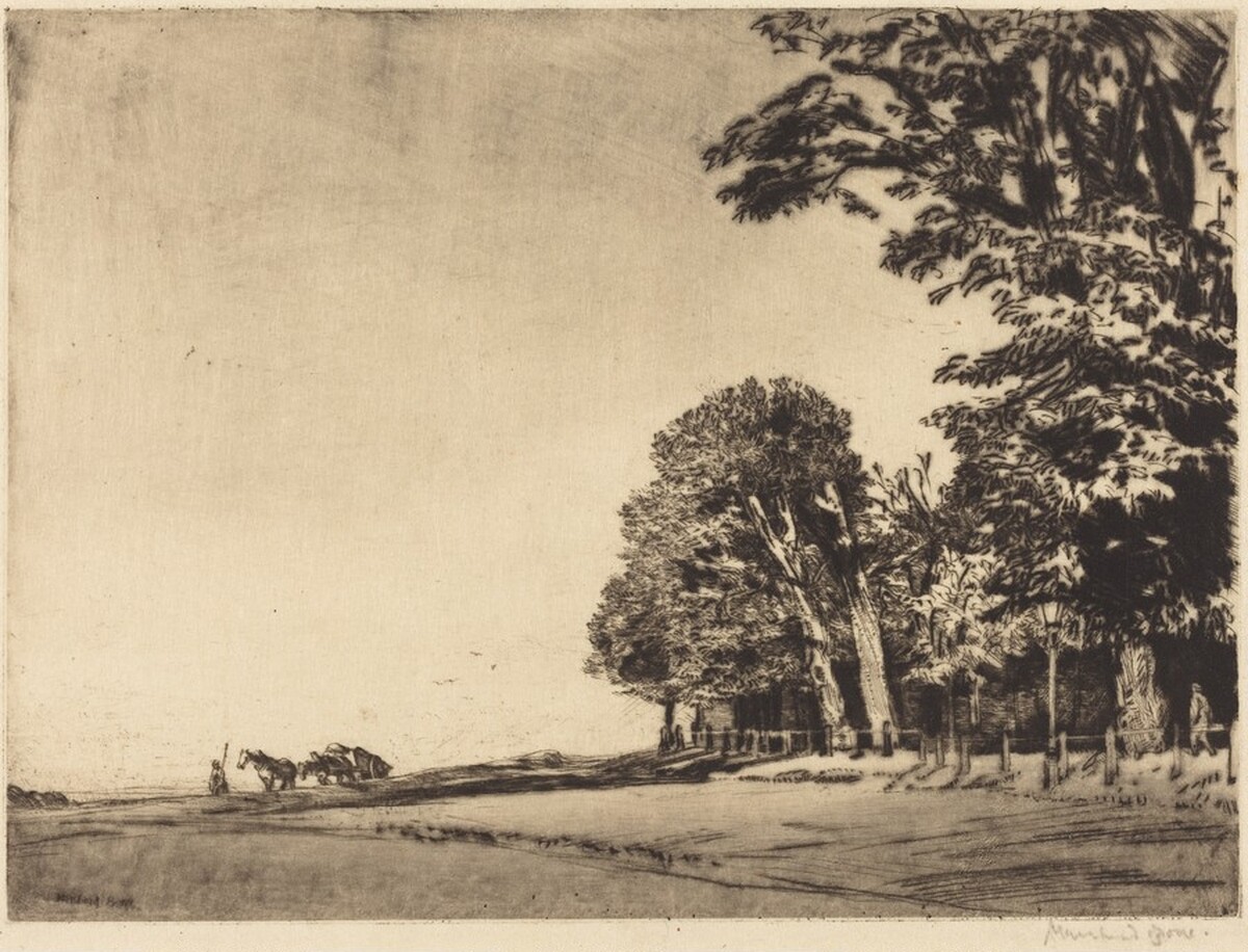 Hampstead Heath by Muirhead Bone