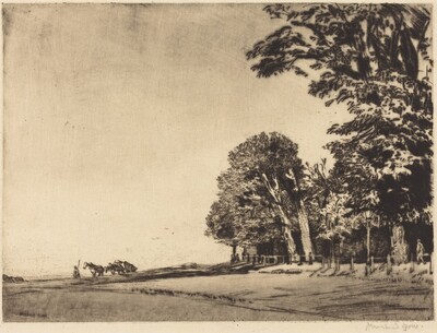 Hampstead Heath