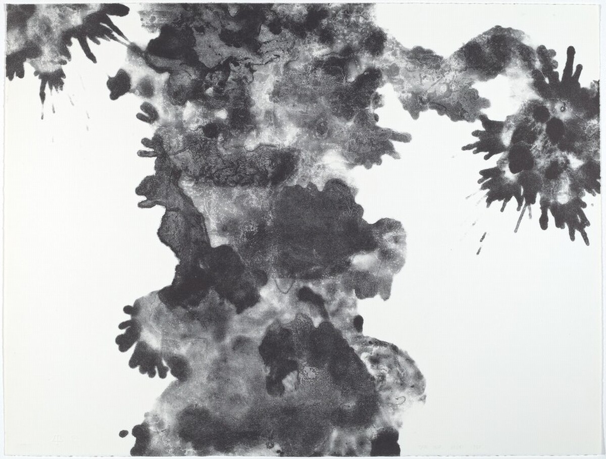 Plane Trees by Ruth Asawa