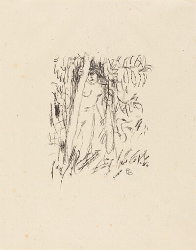 From "Le crepuscule des nymphes" (illustration, page 13)
