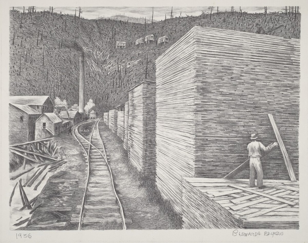 Cut-Over Land by Bernarda Bryson