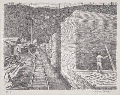 Cut-Over Land