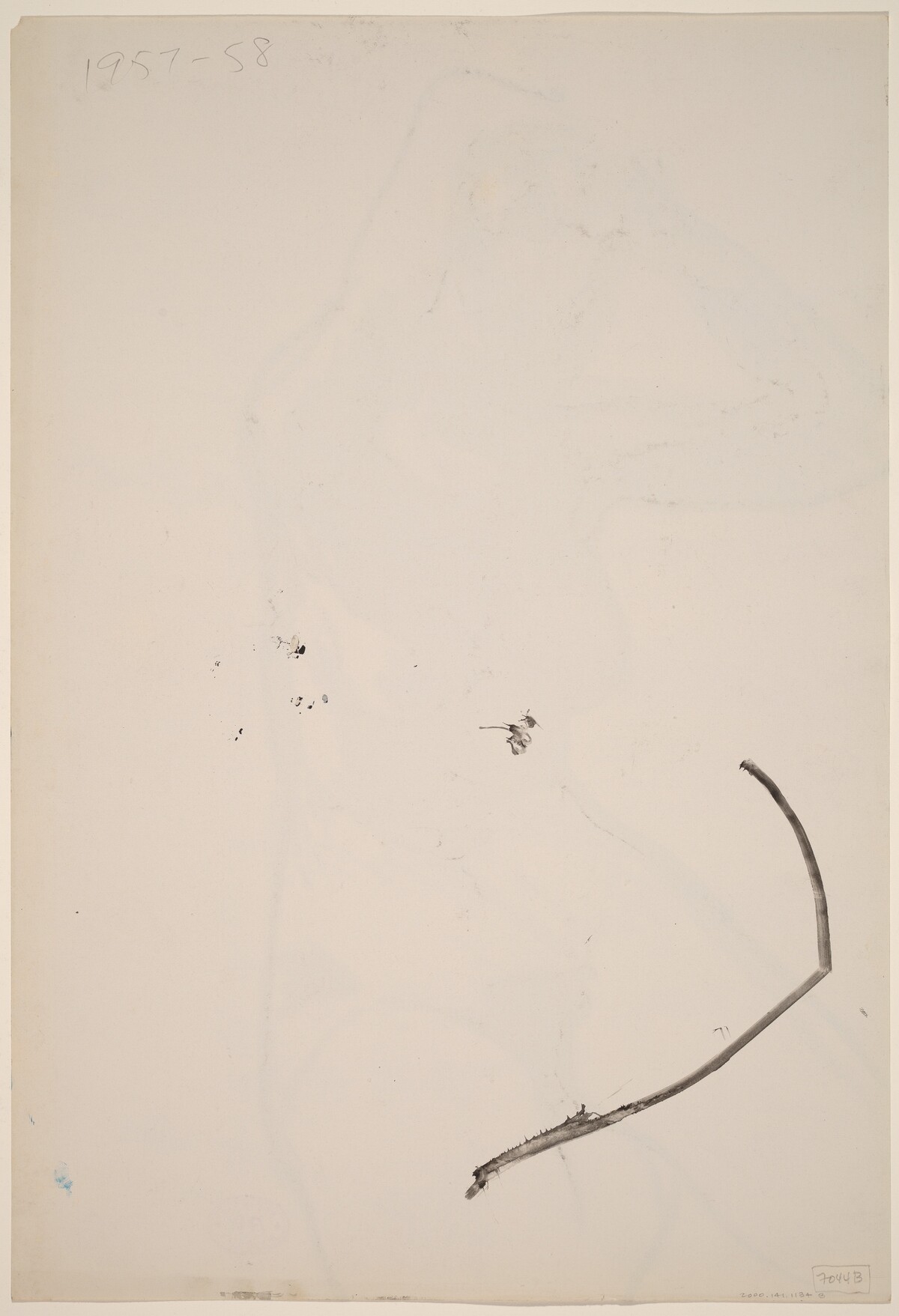 Untitled [line study] [verso] by Richard Diebenkorn