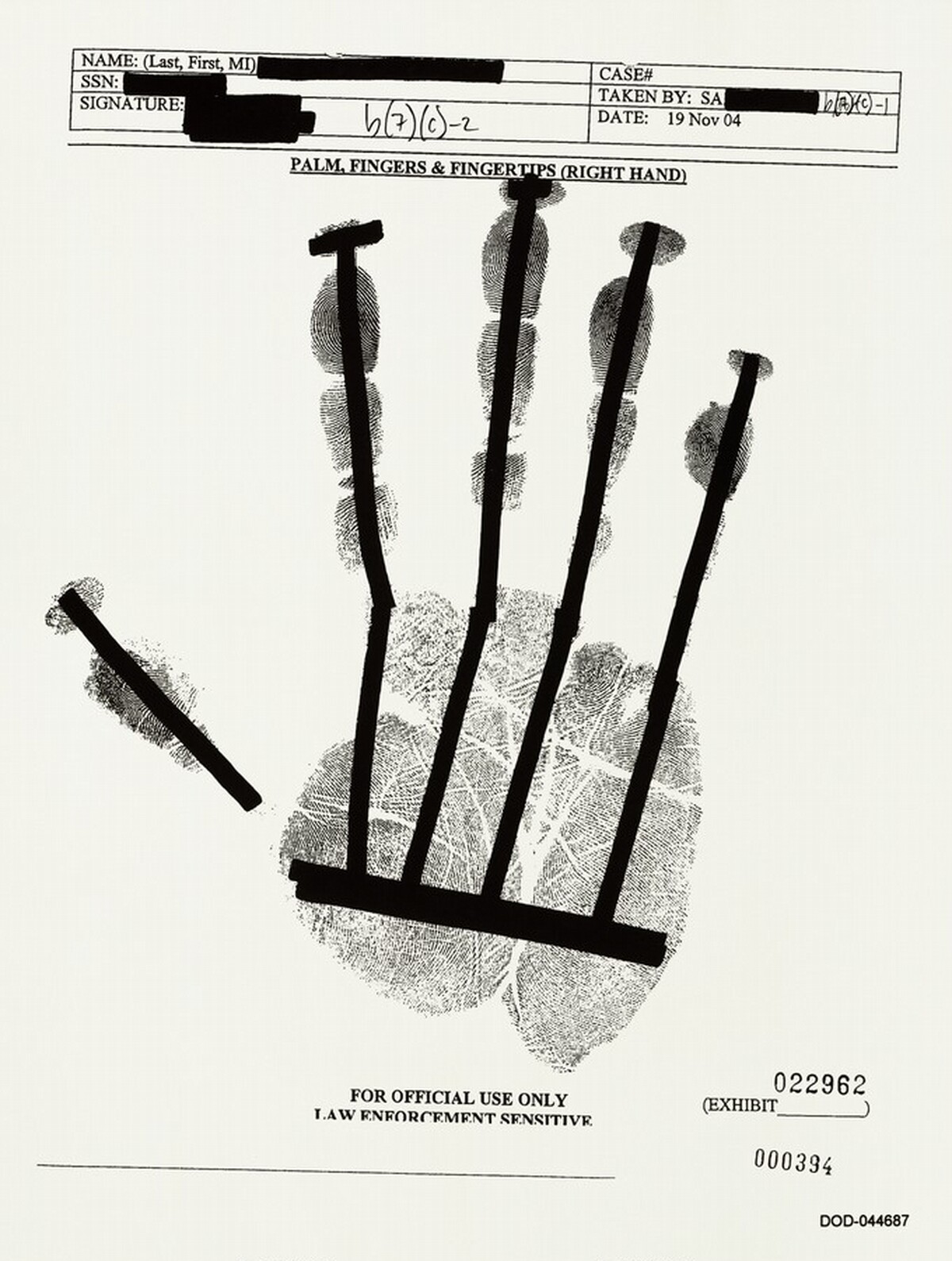 PALM, FINGERS & FINGERTIPS (RIGHT HAND) 000394 by Jenny Holzer