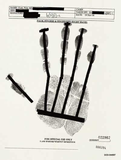 PALM, FINGERS & FINGERTIPS (RIGHT HAND) 000394