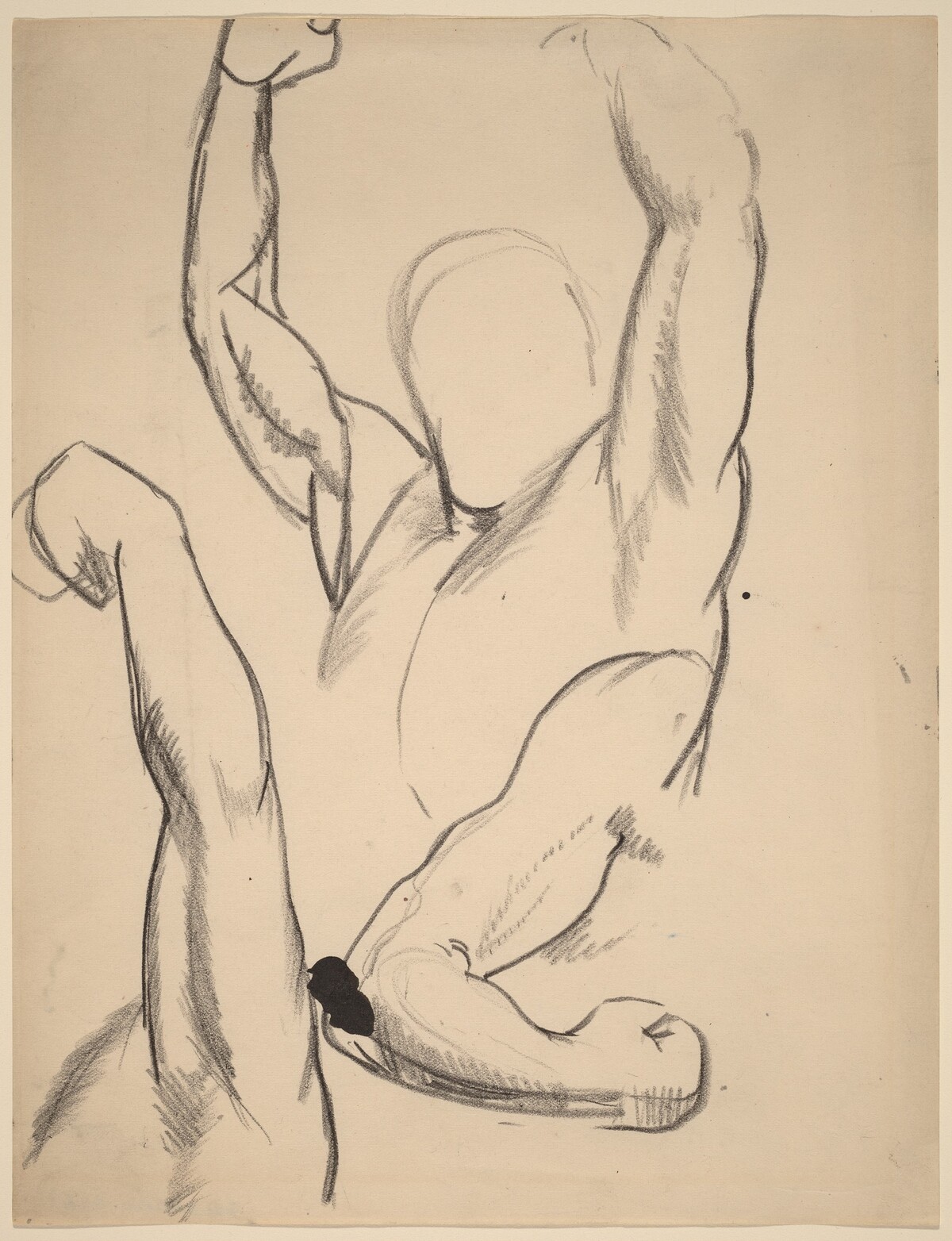 Arms of a Boxer by George Bellows