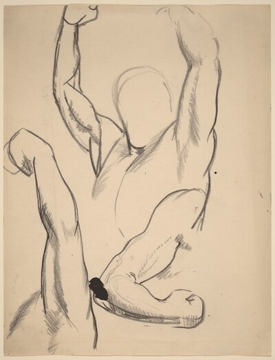 Arms of a Boxer