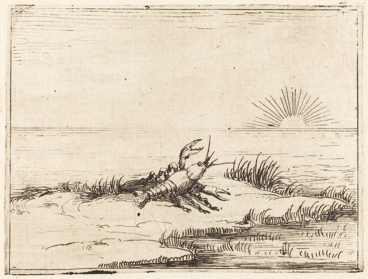 Crayfish Looking at the Sun by Jacques Callot