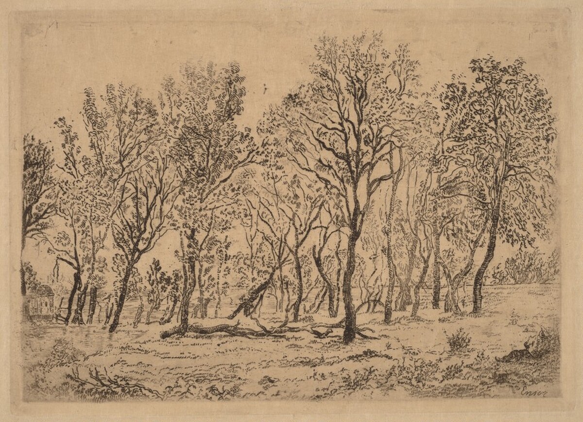 Stand of Trees (Bouquet d'arbres) by James Ensor