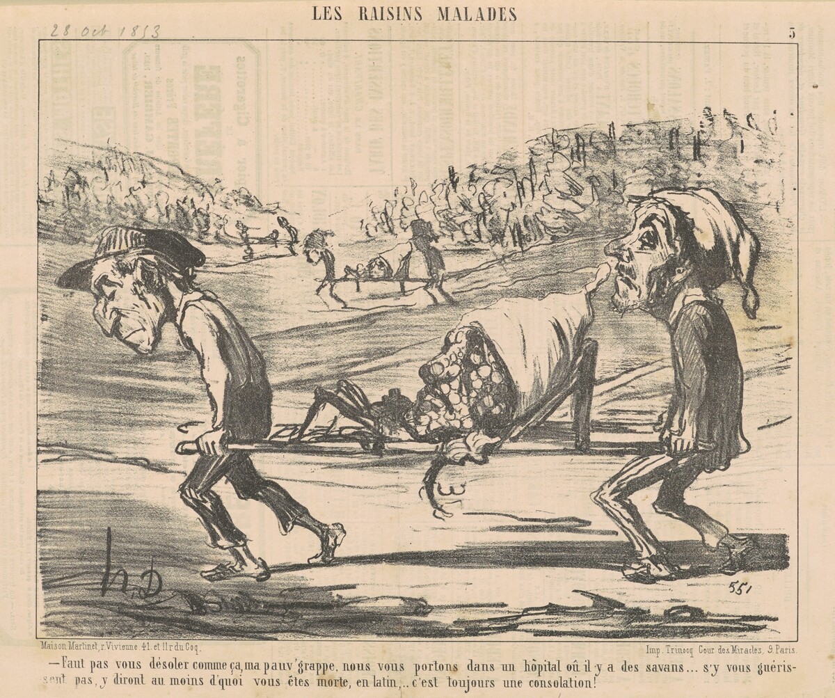 Faut pas vous désoler comme ca ... by Honoré Daumier