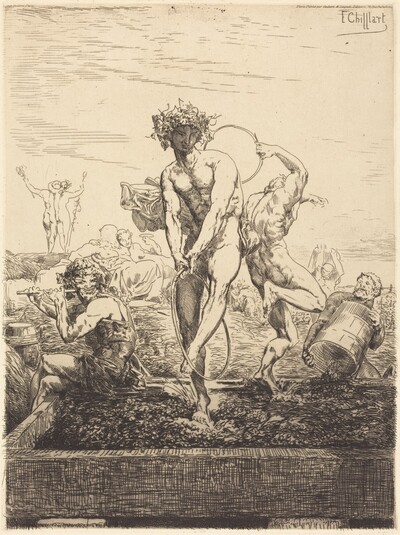 Grape Harvest