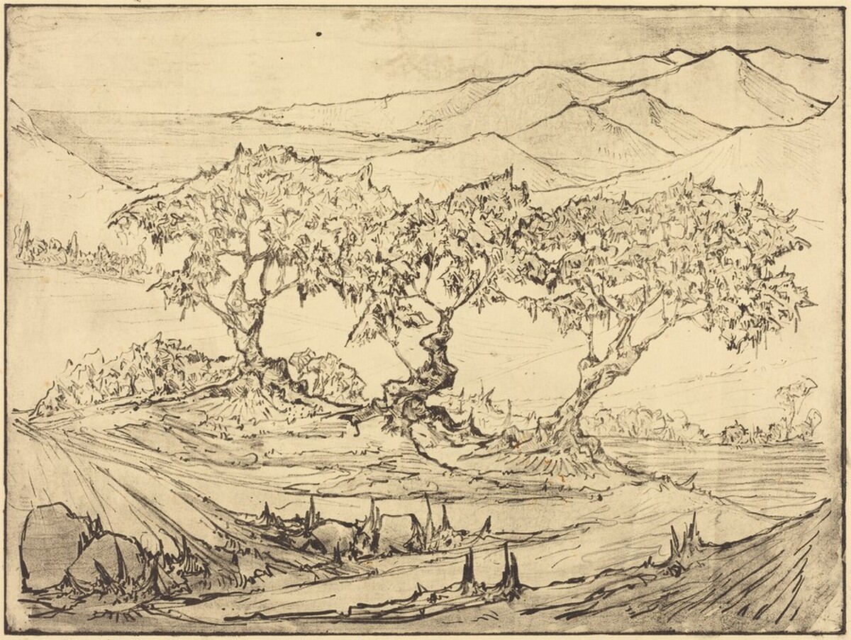 Landscape with Three Olive Trees by Tomás Harris