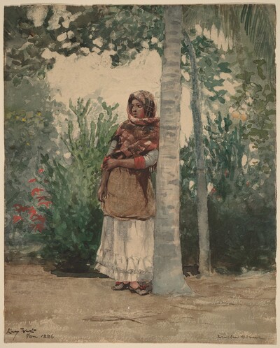 Under a Palm Tree