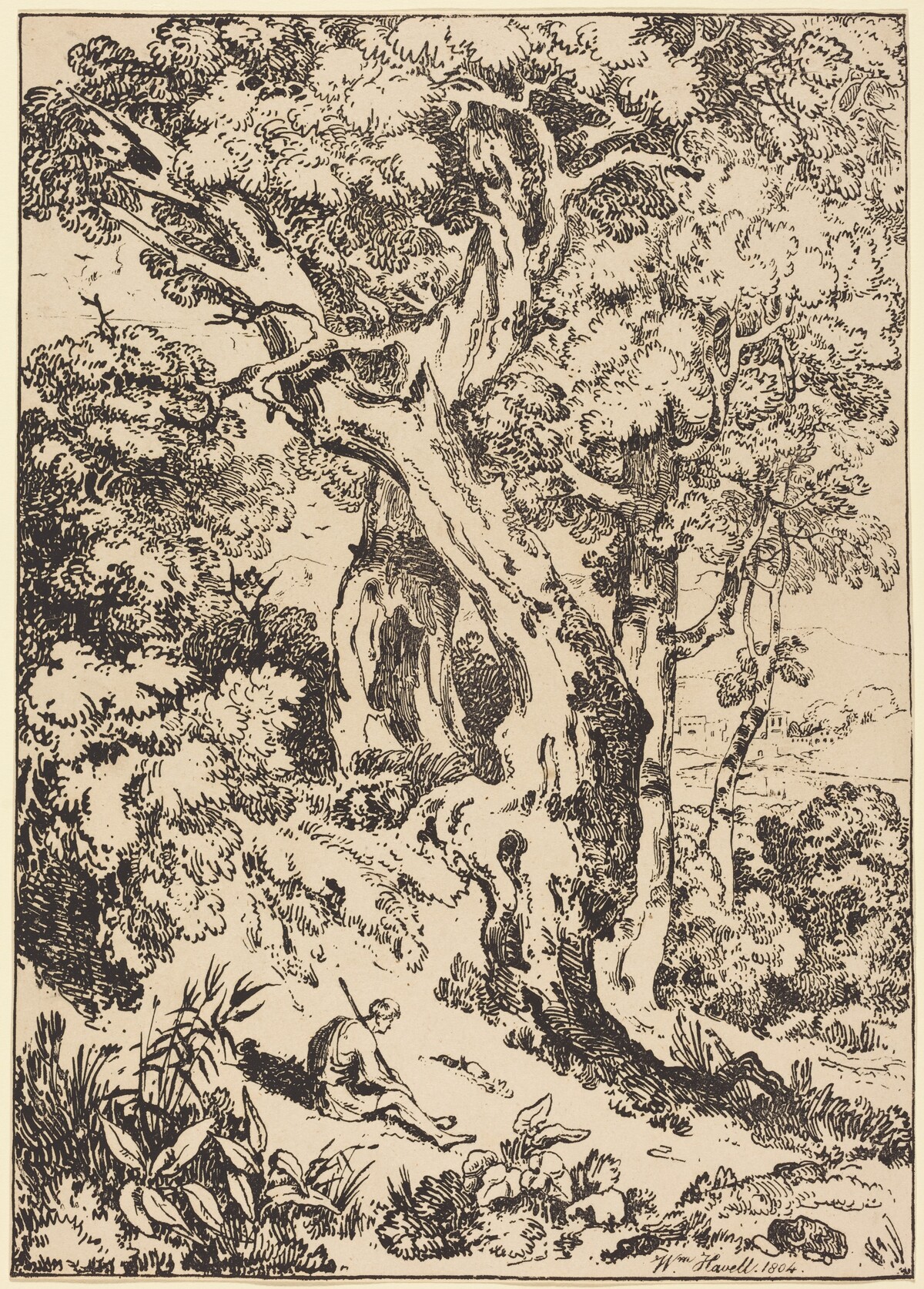 Study of Trees and Shrubs with Seated Figure by William Havell