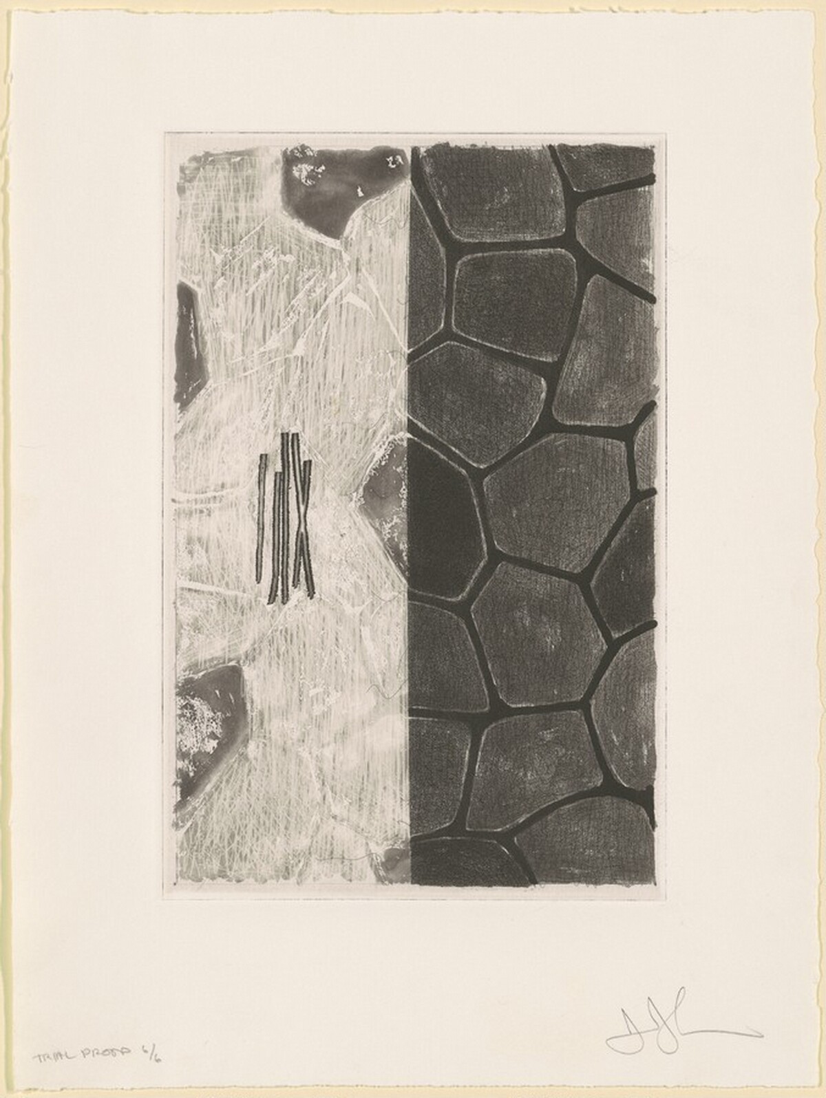 Flagstones (b) [trial proof 6] by Jasper Johns