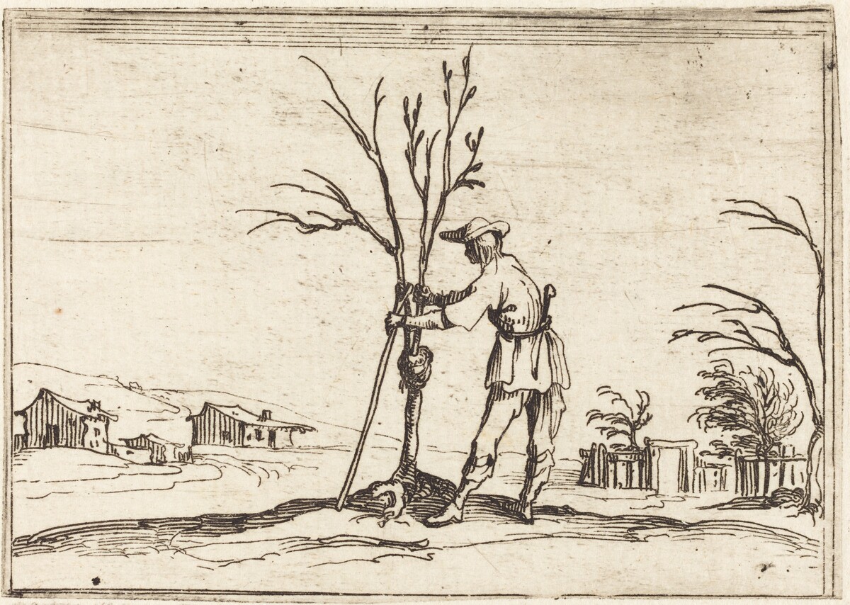Gardener Pruning a Tree by Jacques Callot