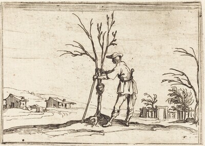 Gardener Pruning a Tree