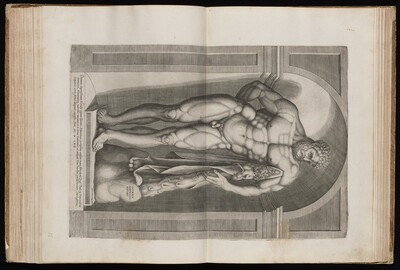 The Farnese Hercules