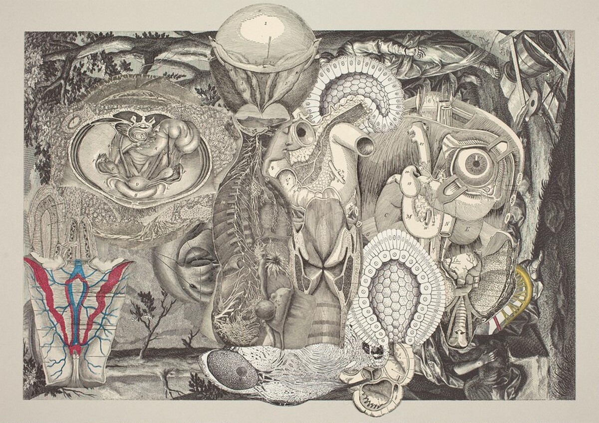 The Queen of Sheba by Frederick Sommer