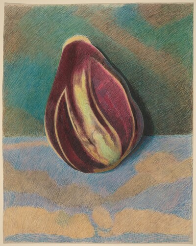 Eggplant