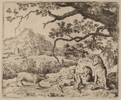 The Badger Sent as Messenger