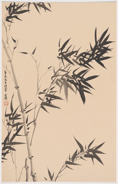 Bamboo