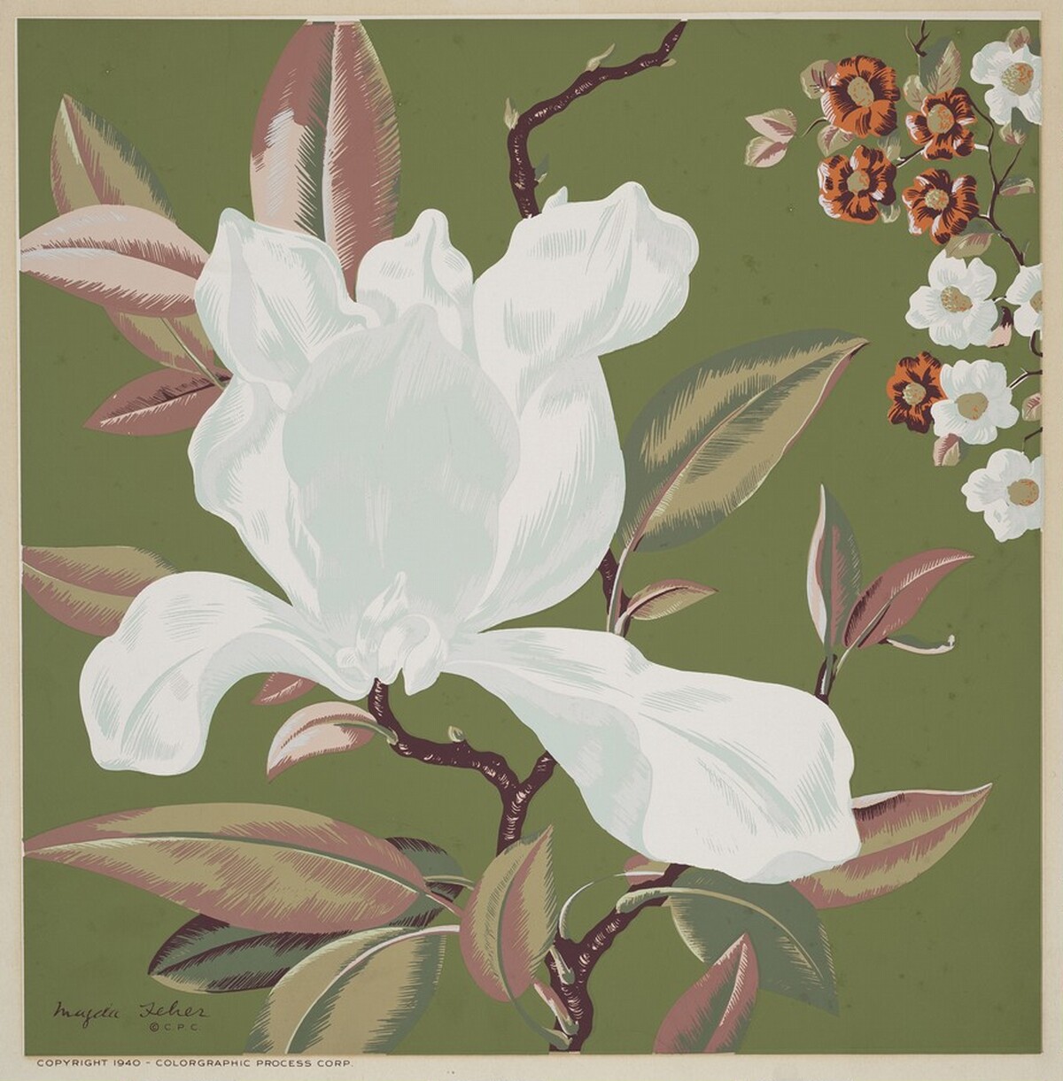 Untitled (Flower) by Magda A. Feher