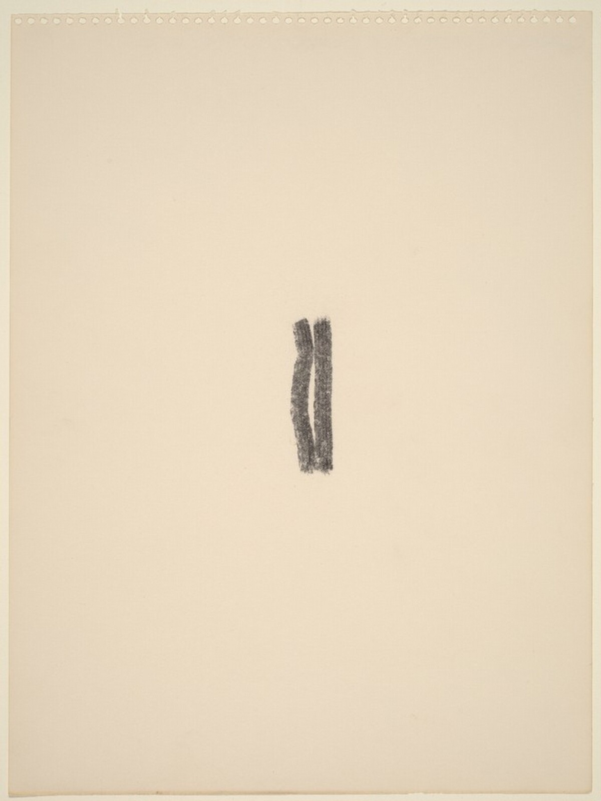 Charcoal Verticals by Richard Tuttle