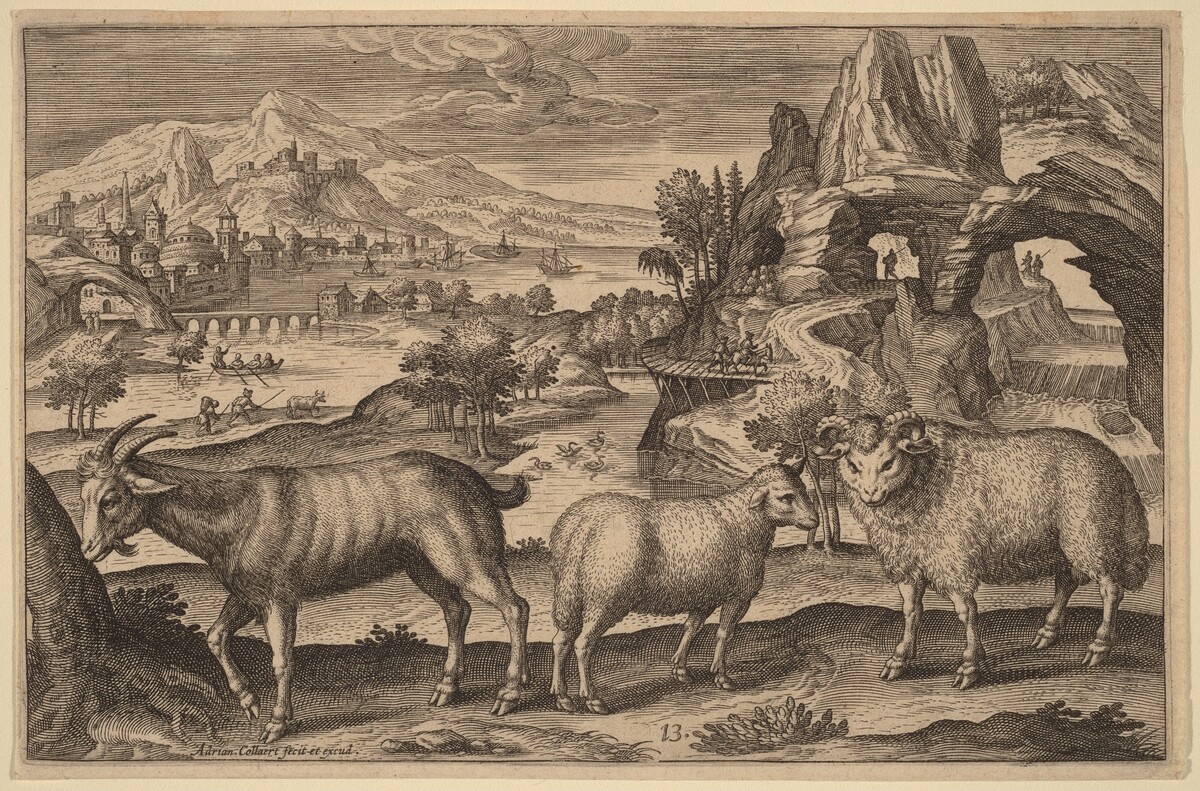 A Goat, a Ewe, and a Ram by Adriaen Collaert