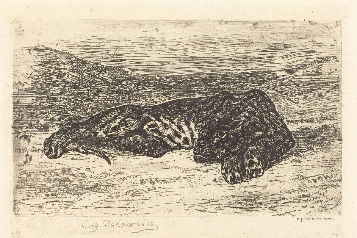 Tiger Sleeping in the Desert (Tigre couché dans le désert) by Eugène Delacroix