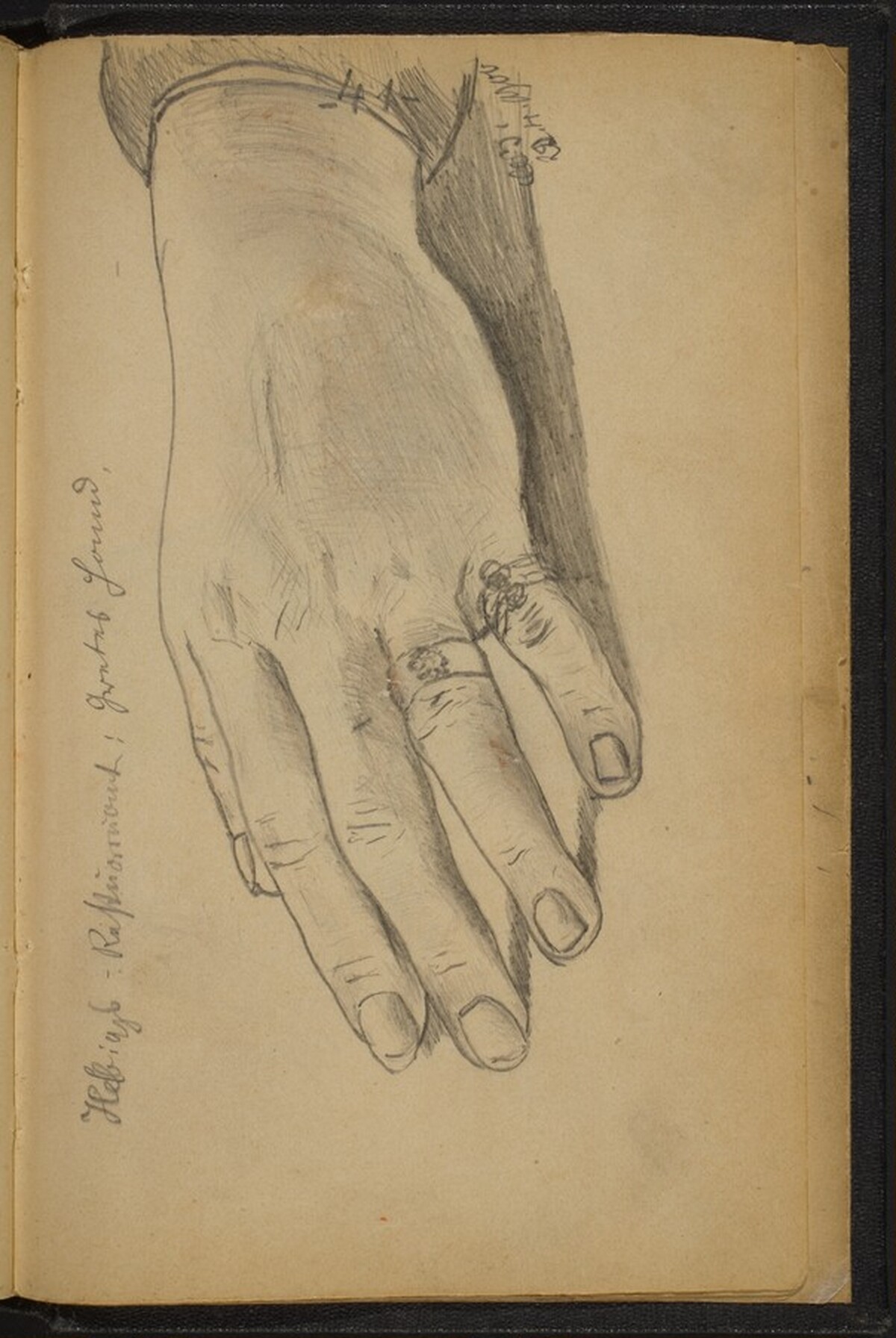 Study of a Woman's Hand with Rings by Max Beckmann