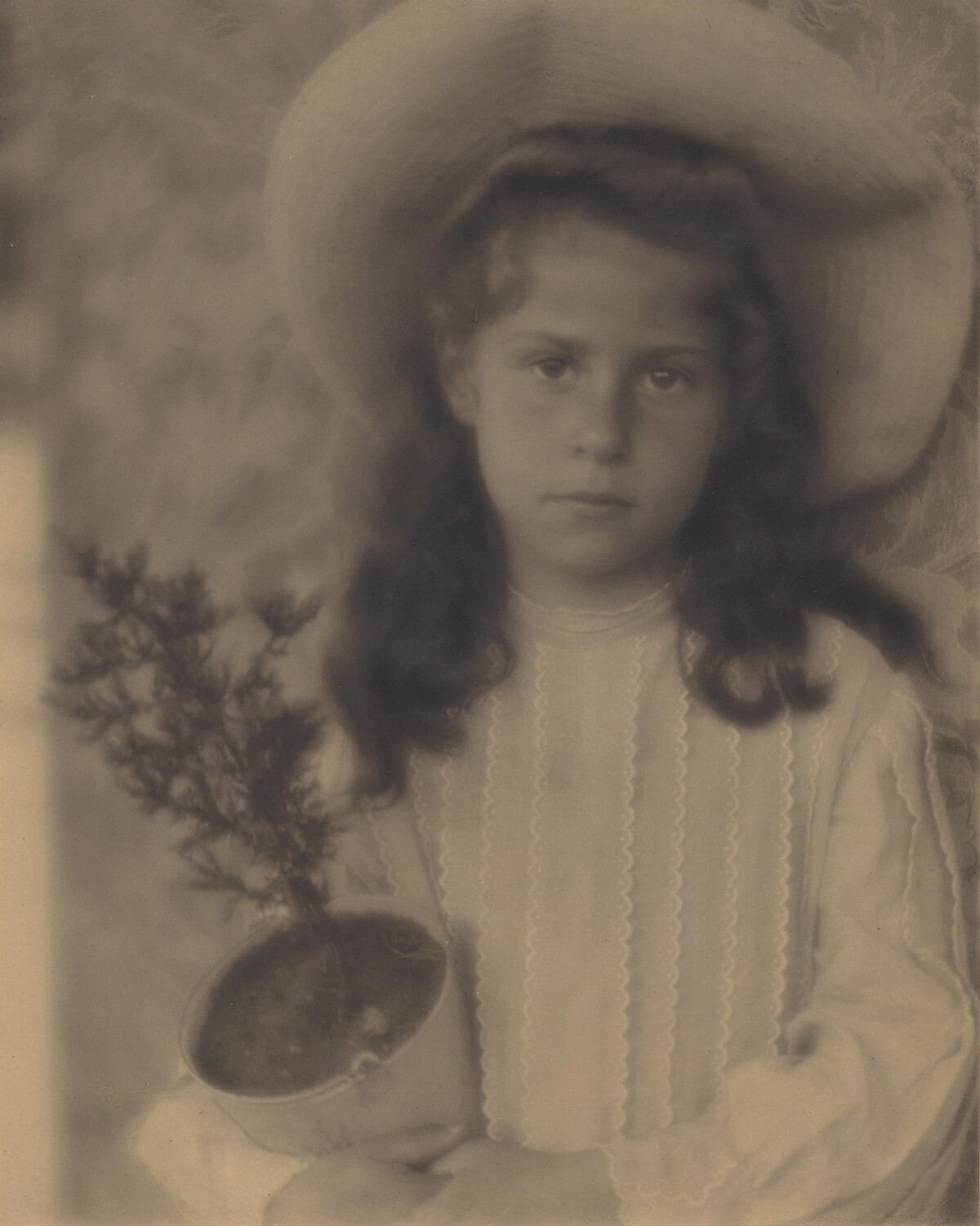 Kitty—Flower-Pot by Alfred Stieglitz